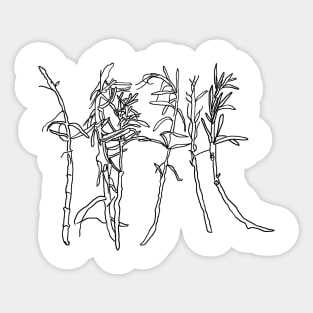 Rosemary line artwork drawing, simple modern Sticker